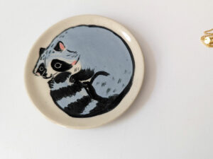 cute raccoon catch all