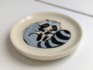 cute raccoon catch all