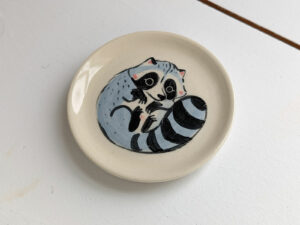 cute raccoon catch all