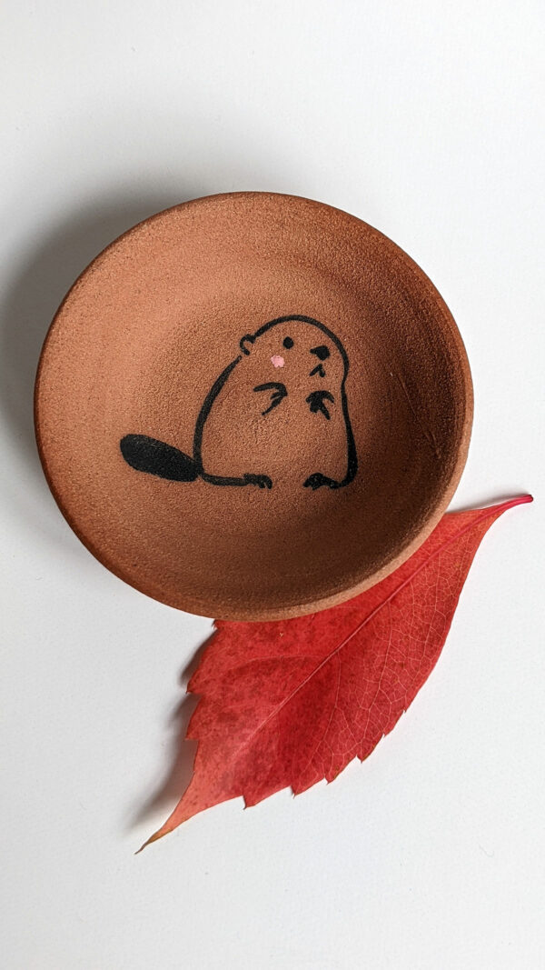 beaver dish