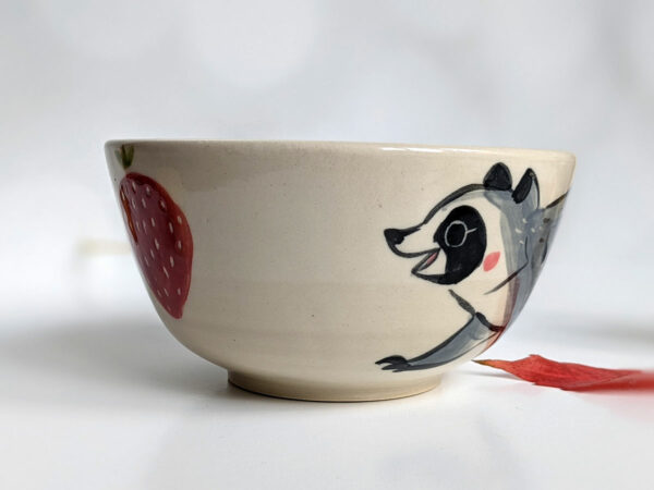 raccoon bowl