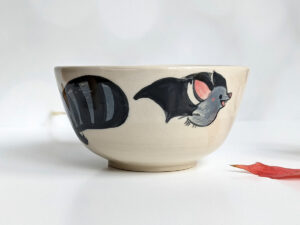 raccoon bowl