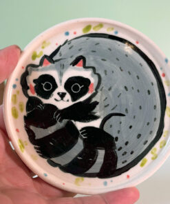 cute raccoon catch all