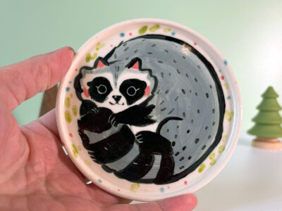 cute raccoon catch all