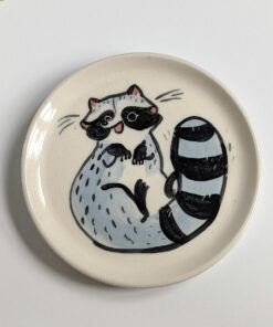 cute raccoon catch all