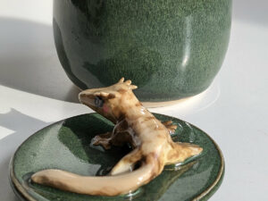 crested gecko memorial urn