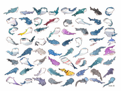 Peinture Originale - 65 Requins Baleines – Image 9