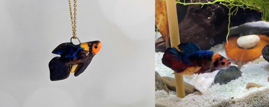 fish pet portrait