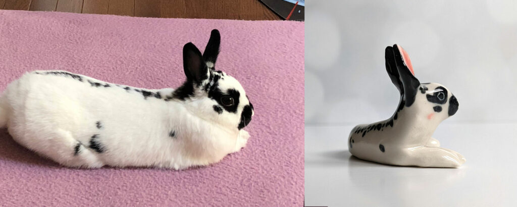 cute bunny pet portrait