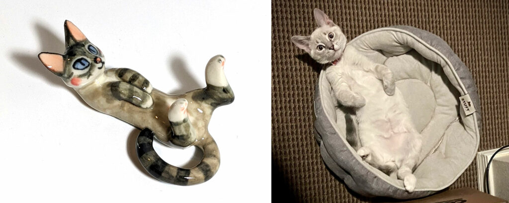 cat portrait figurine canada adorable cute