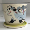 medium planter opossum family
