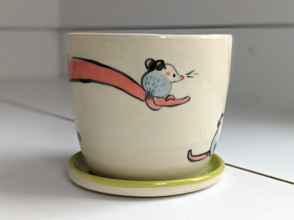medium planter opossum family