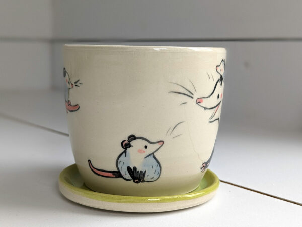 medium planter opossum family