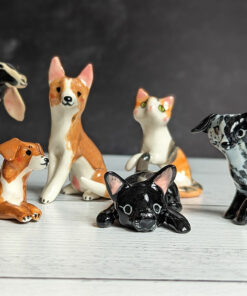 Animal Fam