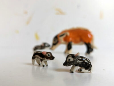 River Hog Family - Image 18