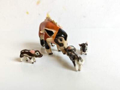 River Hog Family - Image 9