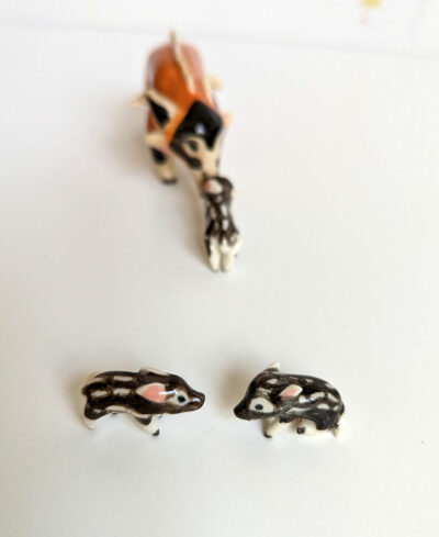 River Hog Family - Image 7