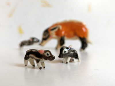 River Hog Family - Image 2
