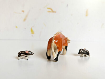 River Hog Family - Image 16