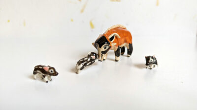 River Hog Family - Image 14
