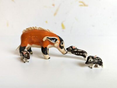 River Hog Family - Image 13