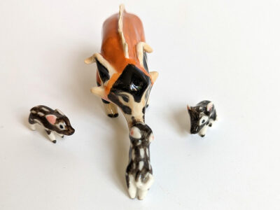 River Hog Family - Image 11