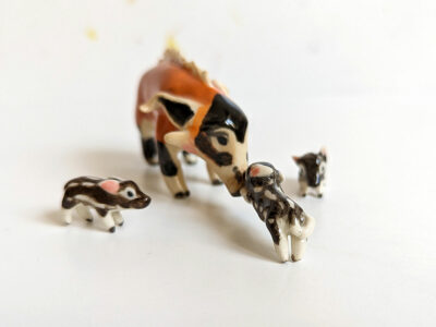 River Hog Family - Image 10