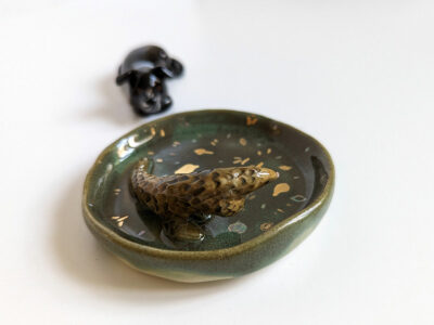 Dog and Pangolin - Image 3