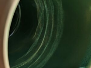 pony vase