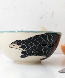 cute pangolin bowl handmade