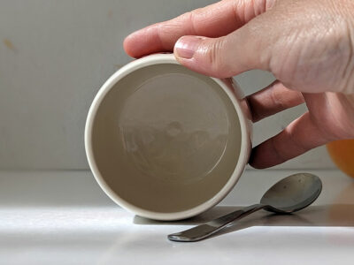hedghehog fox tumbler