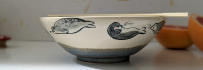 wide bowl adorable seal