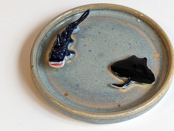 whale shark and ray jewelry dish