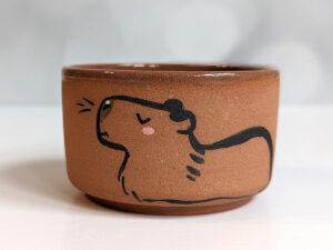 capybara handmade cute tumbler