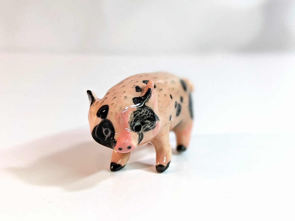Fred the pig as a portrait 