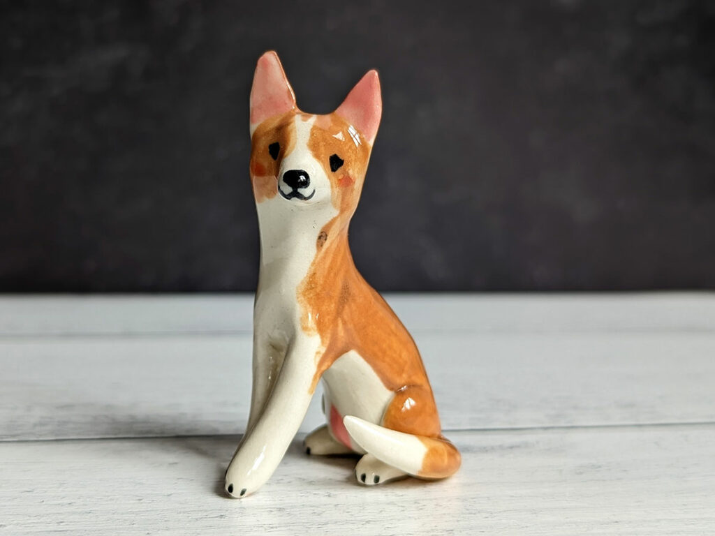 The prettiest Basenji rescue 