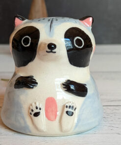 magic salt shaker raccoon