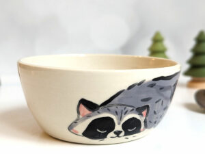 small raccoon bowl