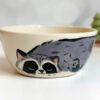 small raccoon bowl