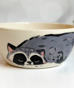 small raccoon bowl