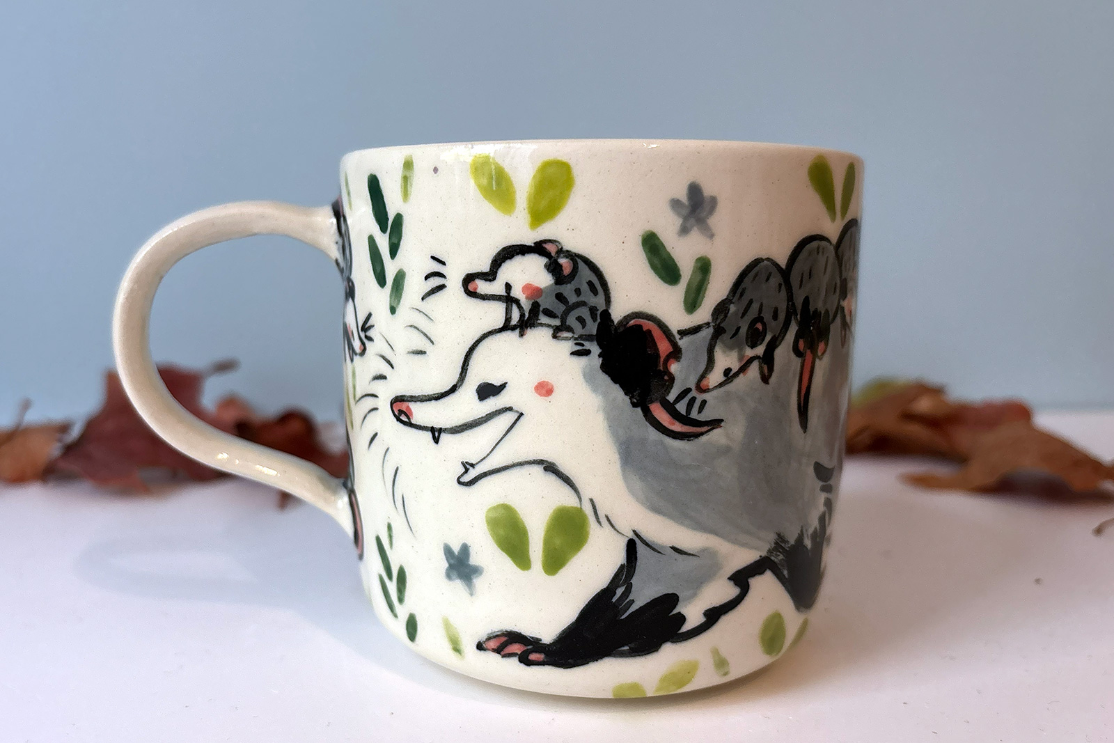 mug opossum family