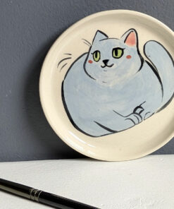 saucer grey cat