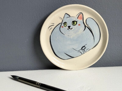 saucer grey cat