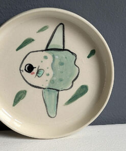 mola mola saucer