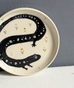 salamander saucer