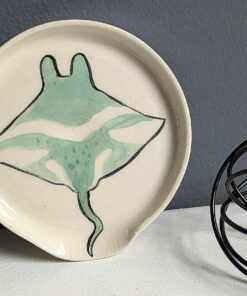 spoon rest ray