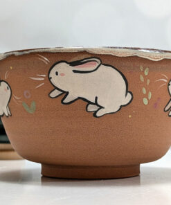 bowl cute bunnies