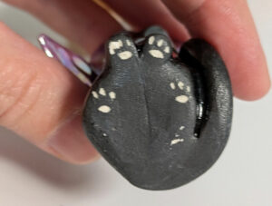 Figurine - Witch Cat - Image 5