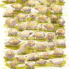 do corgis dream of sheep original painting