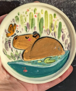 capybara saucer